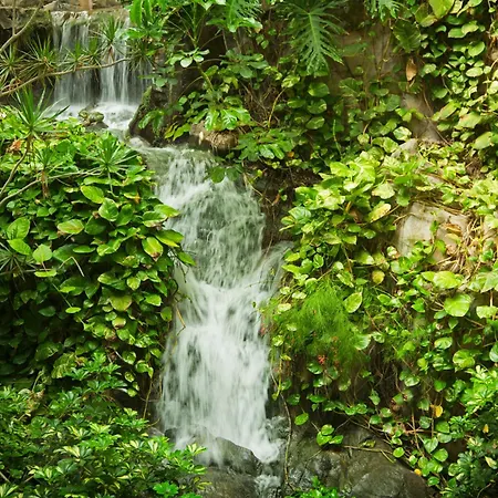 Adrian Jardines De Nivaria Costa Adeje (Tenerife)