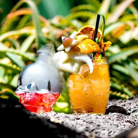 فندق أدريان هوتيلز جاردينز دي نيفاريا 5*