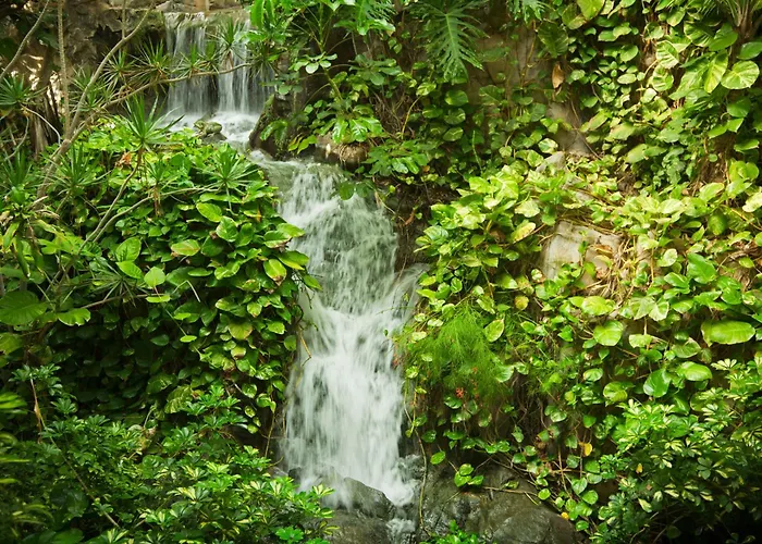 Adrian Jardines De Nivaria Costa Adeje (Tenerife)