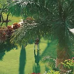 Adrián Jardines De Nivaria 5* Costa Adeje (Tenerife)